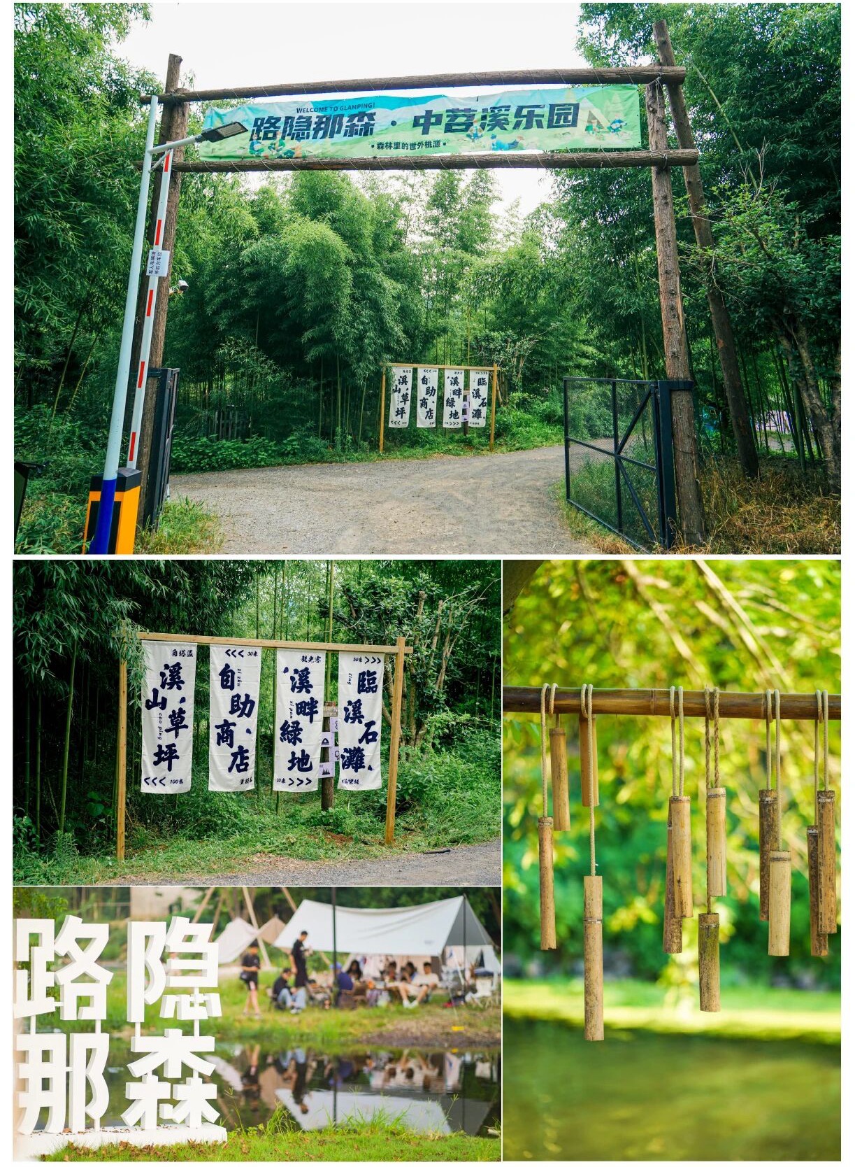 营地竹林